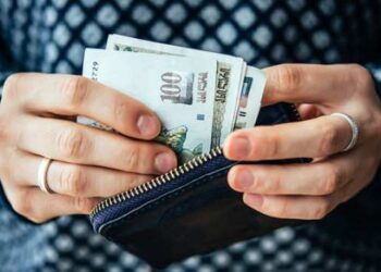 ხელფასი და ერთჯერადი დანამტი 5000 ლარის ოდენობით – ვის შეეძლება ამ თანხის მიღება ?