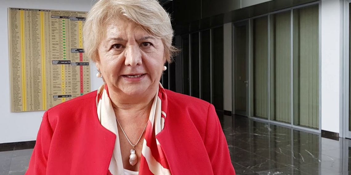 „ავარიას ხშირად ახდენს ადამიანი, რომელსაც ავტომობილი თავად არ შეუძენია და მამამ უყიდა… 23 წლამდე პირს უფროსის გარეშე ავტომობილის დამოუკიდებლად მართვის უფლება უნდა შეეზღუდოს”