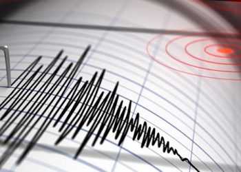 ”5.2-ს აჩვენებს მიწისძვრის წინასწარი მონაცემი… არ შეშინდეთ…” – თეა გოდოლაძე მოსახლეობას აფრთხილებს. სად იქნება ეპიცენტრი?