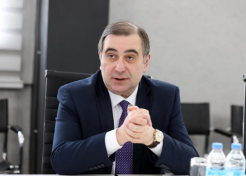 სკოლებში საქართველოს ისტორიის სწავლება გაძლიერდება – მიხეილ ჩხენკელის გადაწყვეტილება