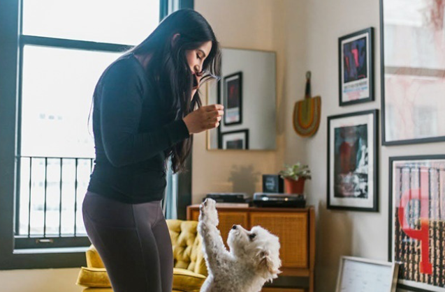 რას ხედავთ სურათზე უცნაურს? – სურათი რომელიც ინტერნეტში ვირუსულად გავრცელდა