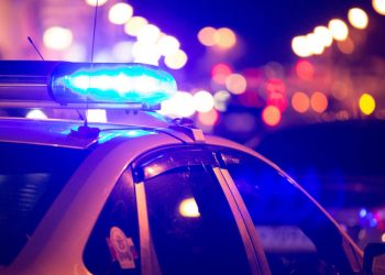 სანზონაში პოლიციამ დალუქა ბინა, რომელშიც გახრწნილი ხორცი და ფეკალიებით სავსე კონტეინერები აღმოაჩინეს