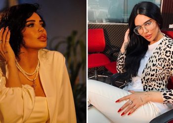 შორენა ბეგაშვილმა მეორე “შვილი” გამოაჩინა, რა ფოტოს აქვეყნებს ტელეწამყვანი