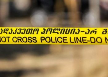 გორში ჟურნალისტი დაკბინეს