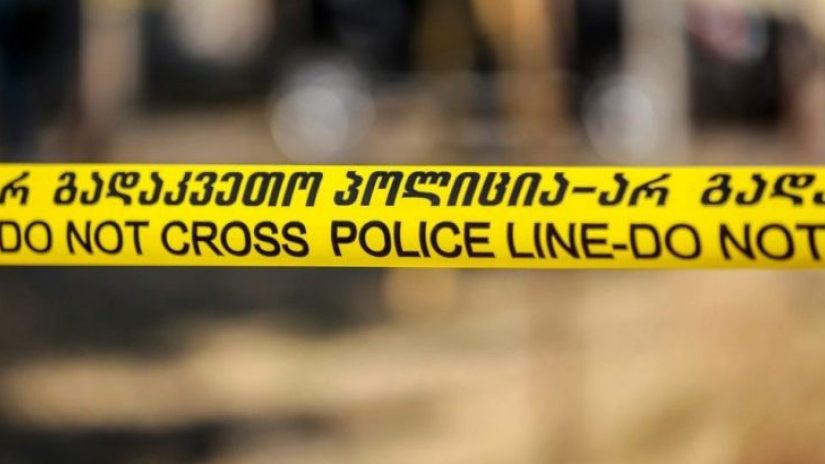 გორში ჟურნალისტი დაკბინეს