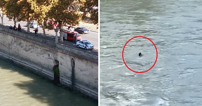 “გარდაიცვალა ქალი რომელიც მტკვარში ჩავარდა, ექიმებმა თქვეს რომ…” – სამწუხარო ინფორმაცია ახლახანს გავრცელდა