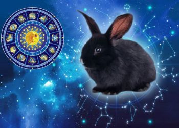 2023 წლის სასიყვარულო ჰოროსკოპი ზოდიაქოს ყველა ნიშნისთვის – ნახეთ რომელ ნიშანს ელის სირთულეები და რომელს ქორწინება მომავალ წელს