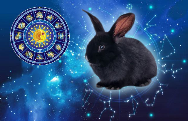 2023 წლის სასიყვარულო ჰოროსკოპი ზოდიაქოს ყველა ნიშნისთვის – ნახეთ რომელ ნიშანს ელის სირთულეები და რომელს ქორწინება მომავალ წელს