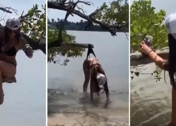 გოგონა კუპალნიკებით ხეზე იჯდა და ნაყინს ჭამდა, მოულოდნელად კი ისეთი რამ დაემართა ვერ დაიჯერებთ…