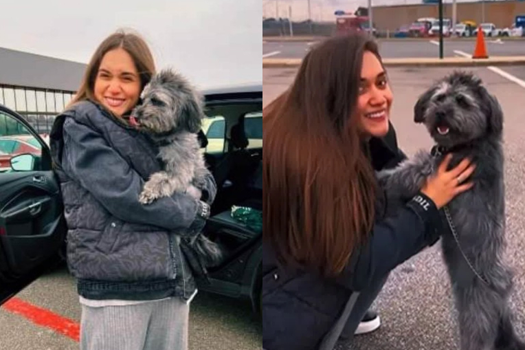 ლიზა ყენიას ერთი წლის უნახავი ძაღლი ამერიკაში ჩაუყვანეს – ნახეთ ემოციები