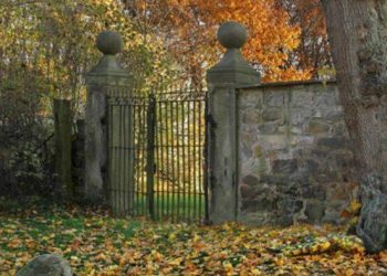 იცოდეთ, რომ თქვენი IQ საშუალოზე მაღალია თუ ამ ფოტოზე ქალს 5 წამში იპოვით