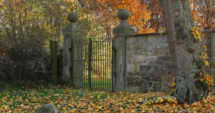 იცოდეთ, რომ თქვენი IQ საშუალოზე მაღალია თუ ამ ფოტოზე ქალს 5 წამში იპოვით