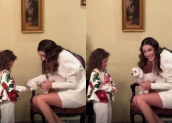 როგორ თამაშობს პატარა ანნა ლიზა ჩიჩუას ძაღლთან ერთად – ჯანეტ ქერდიყოშვილი შვილის ვიდეოს გვიზიარებს