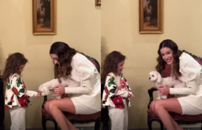 როგორ თამაშობს პატარა ანნა ლიზა ჩიჩუას ძაღლთან ერთად – ჯანეტ ქერდიყოშვილი შვილის ვიდეოს გვიზიარებს