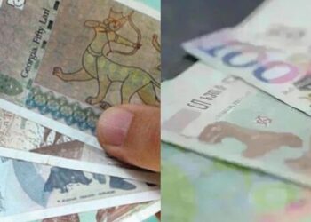 “ყველა ის ბავშვი მიიღებს 200 ლარიან დახმარებას ვინც..” – ნახეთ ახლახანს უმაგრესი ინფორმაცია გავრცელდა. შეამოწმე ხართ თუ არა სიაში