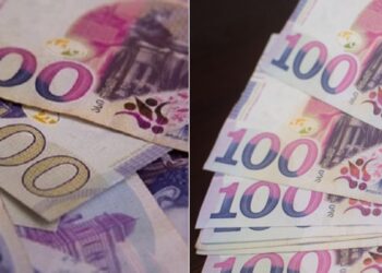 მთავრობის განკარგულება – ვინ მიიღებს სახელმწიფოსგან ერთჯერადად 1000 და 500 ლარს