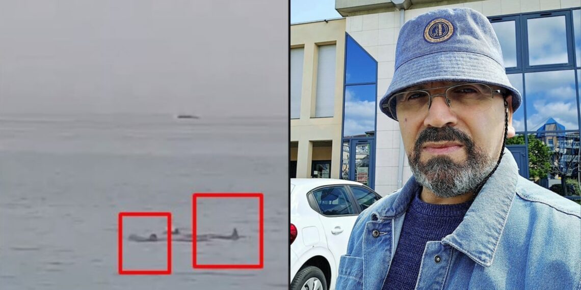 “ვერ მასიამოვნა ზვიგენმა, რომელმაც რუსი ტურისტი შეჭამა. “პამაგი პაპა”-ს ყვირილმა, გულ-მკერდი შემინგრია…” – რას წერს ნუგზარ სულაშვილი?