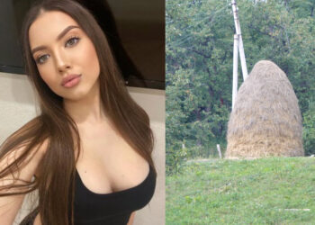 “დასავლეთში ვარ და ეს ყველაფერი ჩემი თვალით რომ არ მენახა ვერ დავიჯერებდი”