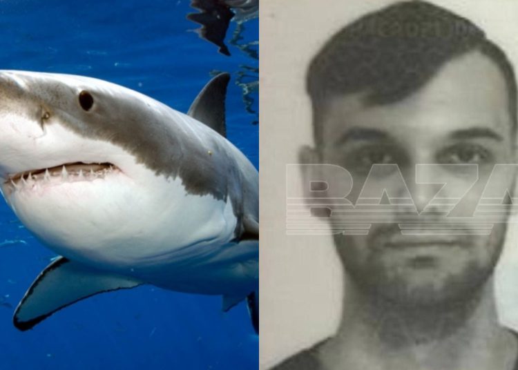 შოკისმომგვრელი კადრები – დაიჭირეს ზვიგენი, რომელმაც რუსი მამაკაცი შეჭამა