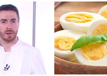 გიორგი ღოღობერიძე კვერცხის სასარგებლო თვისებებს ასახელებს – “არ არსებობს დღე, რომ 2 ცალი კვერცხი არ მივიღო და იმავეს გირჩევთ თქვენც”