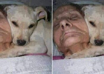 “კომაში ჩავარდა 1 წელი ქალი..” – ნახეთ რაც გამოღვიძებისას თქვა, მსოფლიო და მეცნიერები შოკში ჩააგდო