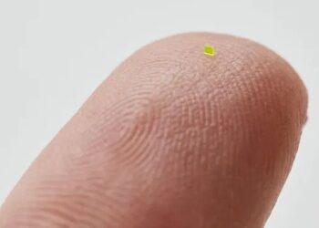 რა ღირს Louis Vuitton-ის მიკროსკოპული ჩანთა, რომლის დანახვა თითის წვერზეც კი რთულია