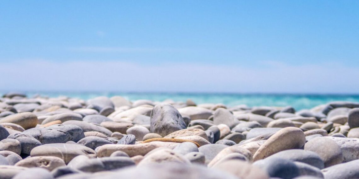 უსაფრთხოა თუ არა წელს შავ ზღვაზე დასვენება – ტურიზმის ეროვნული სააგენტოს ხელმძღვანელის საგანგებო განცხადება