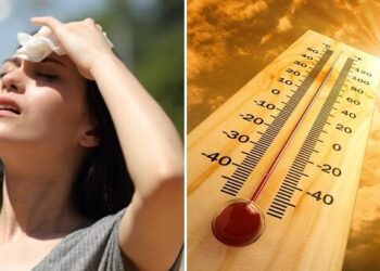 რომელ წელს ელიან მეცნიერები გლობალურ დათბობას – “ხალხი ამ დროისთვის მომაკვდინებელი სიცხის პირისპირ აღმოჩნდება..”