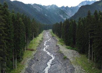 „ჩემი შვილი, 4 წლის შვილიშვილი და რძალი დამიბრუნა ღმერთმა… რაჭველი ბიჭები მისულან, გაუდიათ ფიცრები და” – სასიხარულო ინფორმაცია რაჭიდან