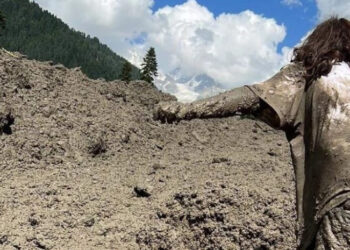 შოვში დაკარგულების სია