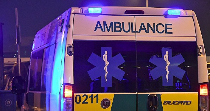 ღორმა და მელამ ორი ადამიანი დაკბინა – რა მოხდა რუსთავში