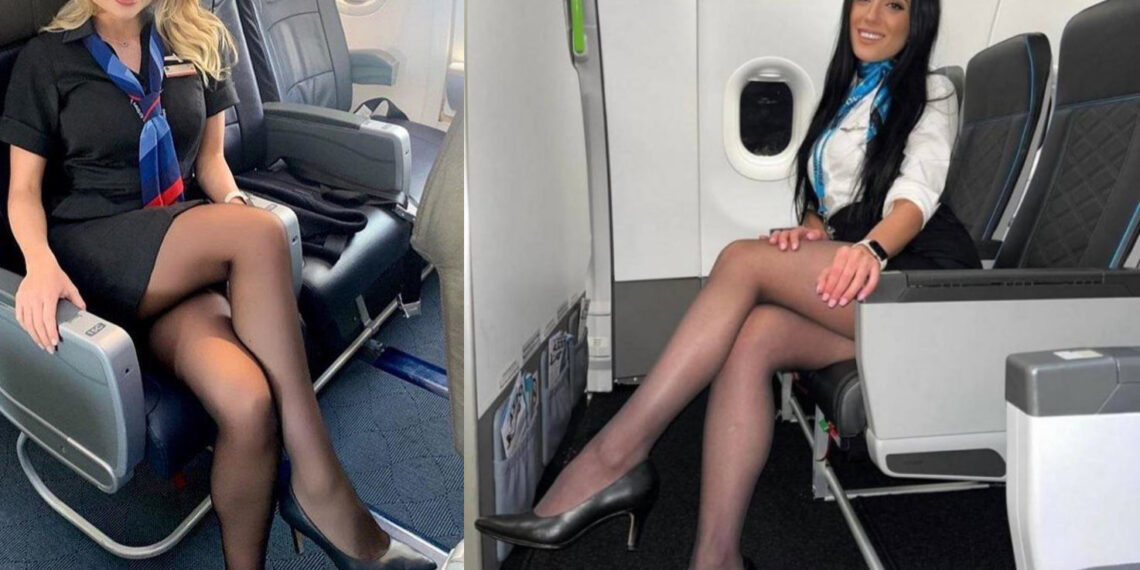 რა არის ის საიდუმლოებები, რომელსაც სტიუარდესები არასდროს გაამხელენ