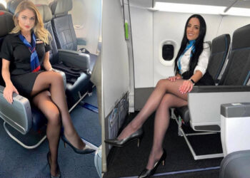 რა არის ის საიდუმლოებები, რომელსაც სტიუარდესები არასდროს გაამხელენ