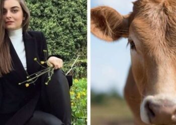 “დიახ მე სოფლელი ვარ, ძროხაც მომიწველია და მერე რა, ახლა ისეთ რამეს ვიტყვი, რომ ეს ყველამ უნდა იცოდეს…”