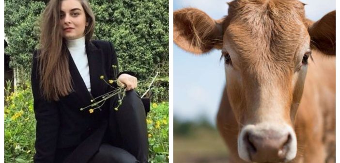 “დიახ მე სოფლელი ვარ, ძროხაც მომიწველია და მერე რა, ახლა ისეთ რამეს ვიტყვი, რომ ეს ყველამ უნდა იცოდეს…”