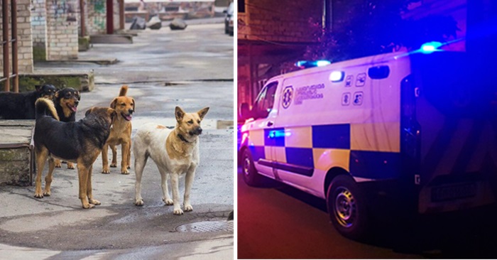 სასწრაფოდ იძებნება ბავშვი რომელიც კახეთის გზატკეცილზე ძაღლმა გაკაწრა, ძაღლს ცოფი დაუდასტურდა!!!