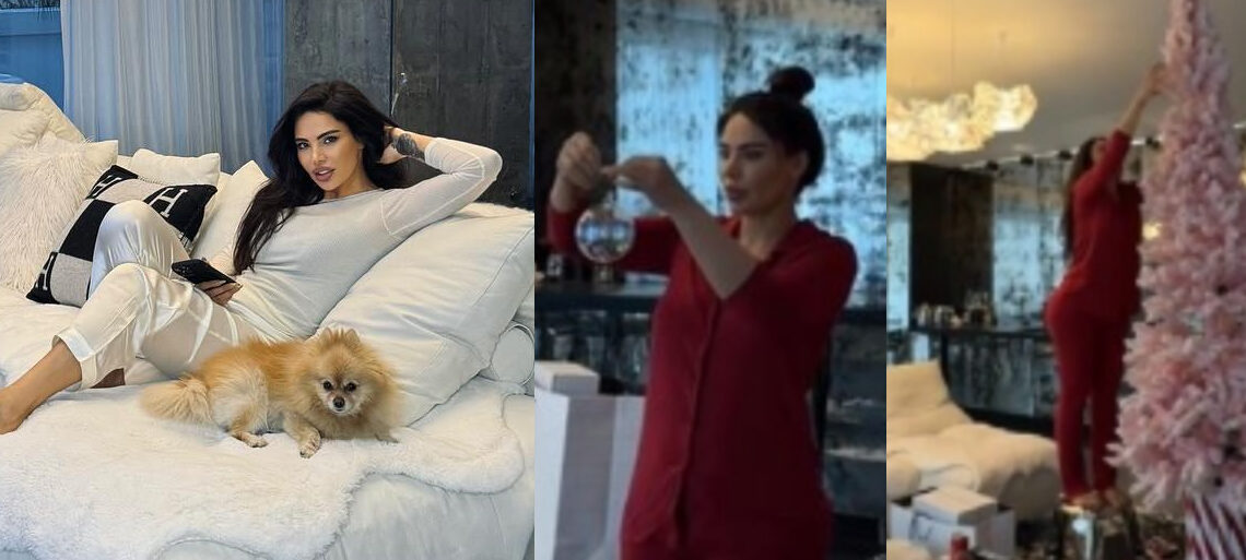 “მდიდრული ბინა და საუცხოო საახალწლო გარემო” – ნახეთ როგორ ააწყო შორენა ბეგაშვილმა ულამაზესი ნაძვის ხე