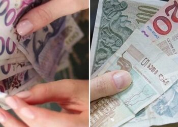 მერიისგან ოჯახები 500 და 1000 ლარს მიიღებენ – გადაამოწმეთ ხართ თუ არა სიაში