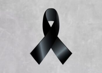 დიდი ტრაგედია – ცნობილი მსახიობი ორ შვილთან ერთად ავარიაში დაიღუპა