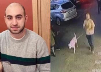 თბილისში დაკარგული დათი გავაშელი იპოვეს