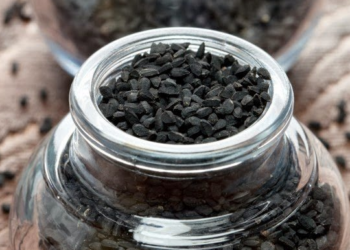 მცენარე, რომელიც სიკვდილის გარდა ყველაფერს კურნავს! ეს ყველამ უნდა წაიკითხოს