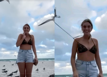 სახალისო მომენტები რომელიც კამერებმა დააფიქსირეს – ვიდეომ უამრავი ნახვა დააგროვა