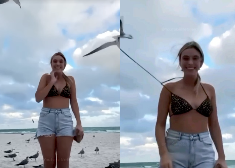 სახალისო მომენტები რომელიც კამერებმა დააფიქსირეს – ვიდეომ უამრავი ნახვა დააგროვა