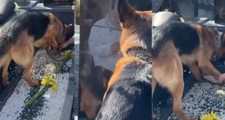 „ეს რა ვნახე, ღმერთო! ცხარე ცრემლით ვტირი…” – სოციალურ ქსელში გავრცელებულ ვიდეოს დიდი გამოხმაურება მოჰყვა