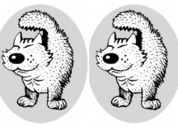 თუ ფოტოზე 5 წამში ძაღლს აჩმოაჩენთ, ესეიგი განსაკუთრებული მხედველობის პატრონები ხართ