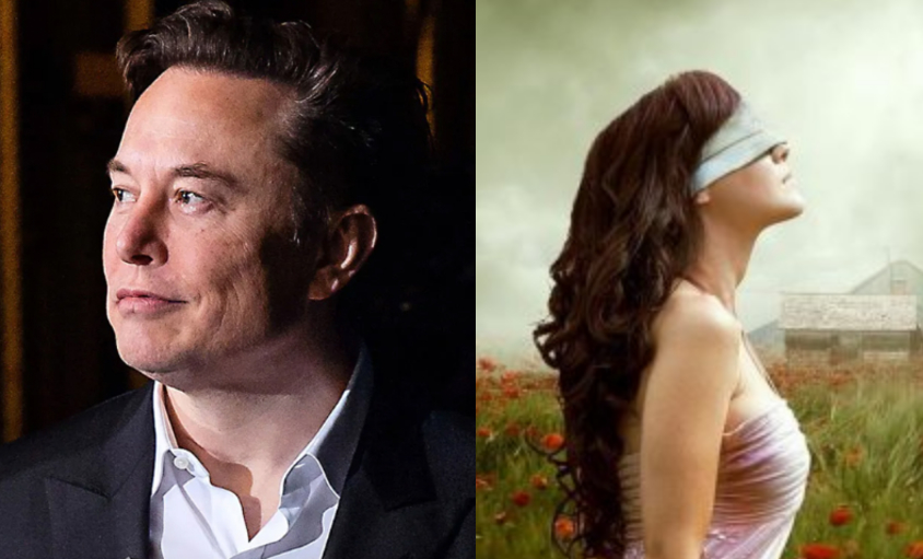 უსინათლოებს მხედველობას დაუბრუნებს – ილონ მასკის შოკისმომგვრელი გამოგონება