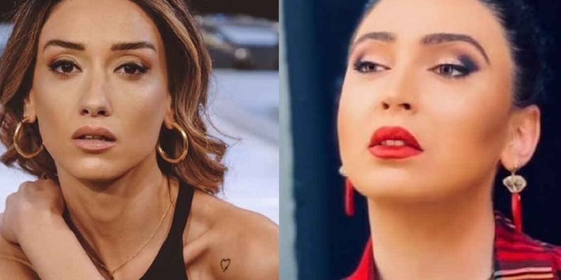 “მარტო ამ ლაიქის გამო არასოდეს არ დაგანებებ თავს, შე, ბანძო ქალო! ვის დასცინი?” – POSTV -ის ჟურნალისტი ნინი ბადურაშვილს უპირისპირდება