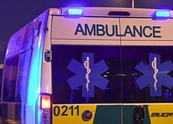 ძმამ და მოკლა – რა შემზარავი ინფორმაცია გახდა ცნობილი