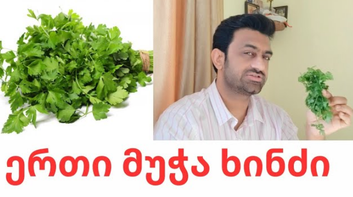 რა სასწაულს ახდენს ერთი მუჭა ქინძი, თუ ასე მიირთმევთ – რა ვიდეოს აქვეყნებს არუნ ხათრი