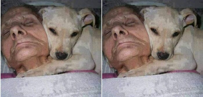 “კომაში ჩავარდა 1 წელი ქალი..” – ნახეთ რაც გამოღვიძებისას თქვა, მსოფლიო და მეცნიერები შოკში ჩააგდო